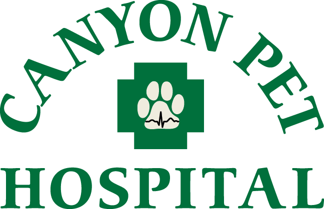Canyon Pet Hospital